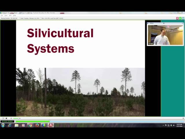 Practical Silviculture for Non-Foresters