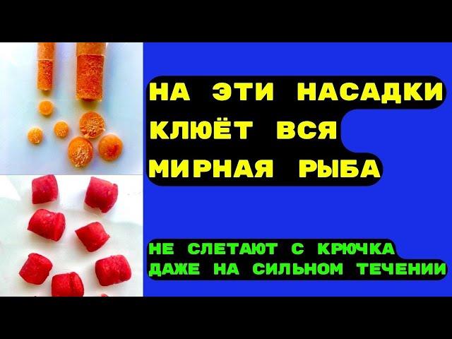 Две насадки для рыбалки на КАРАСЯ, КАРПА, ЛЕЩА. Прочные, ароматные, легко готовить.