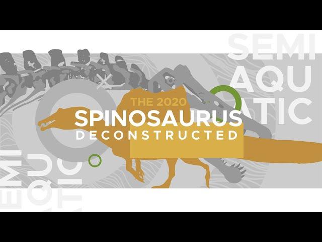 Spinosaurus: The Controversy of the Aquatic Dinosaur