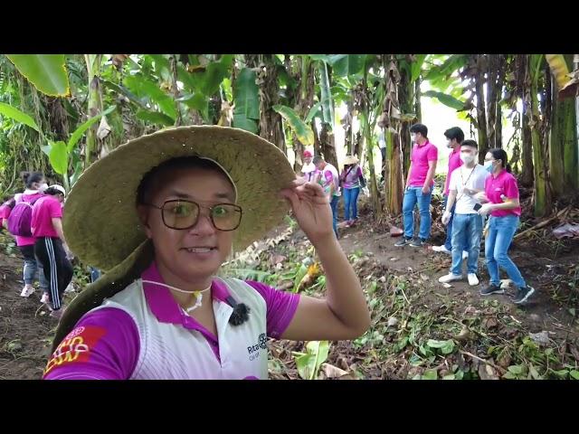 Giant Bamboo Planting for the Imagine Rotary Year 2022