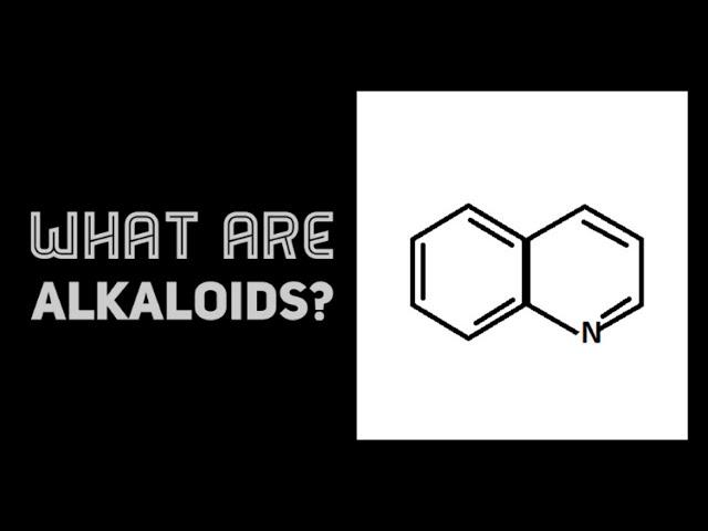 What are Alkaloids?