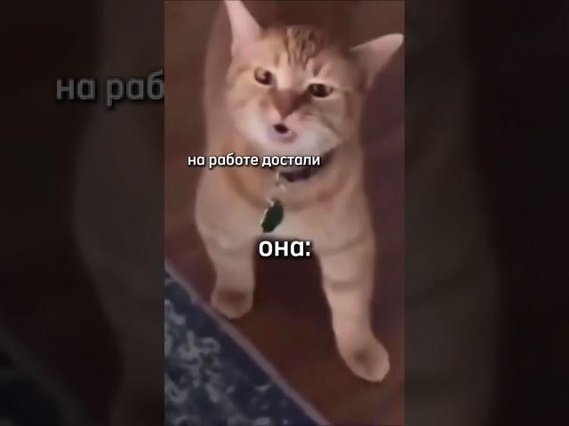О здоровых отношениях на канале https://t.me/samokopashki #здоровыеотношения #отношения #психология