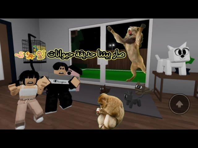 #63بابا جاب لنا بسة ‍⬛ #صار بيتنا حديقة حيوانات Roblox