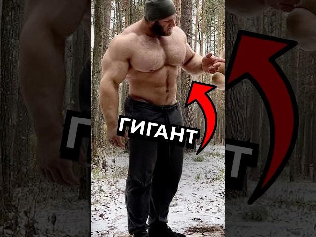 ПОЧЕМУ СМАЕВА НЕНАВИДЯТ БЛОГЕРЫ Ч.2 #варгунин #фитнес #спорт #силовые #химик #качки #смаев