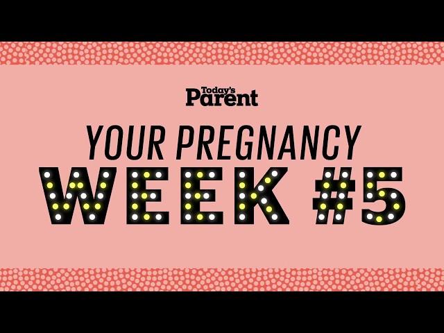 Your pregnancy: 5 weeks