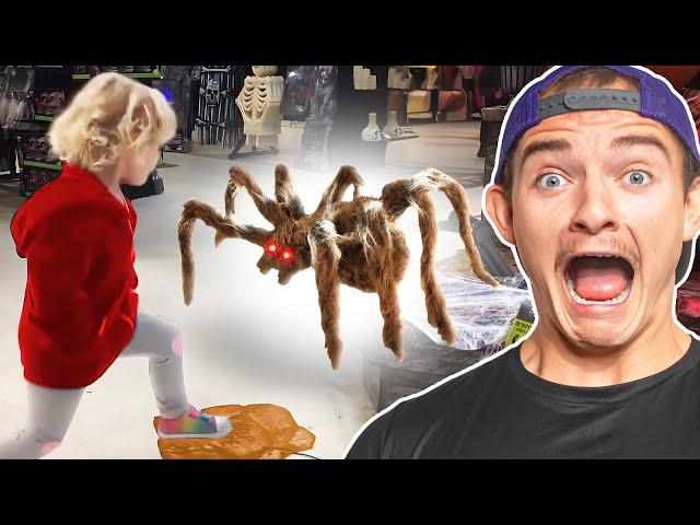 Giant Spider Vs Little Girl: Halloween Moments