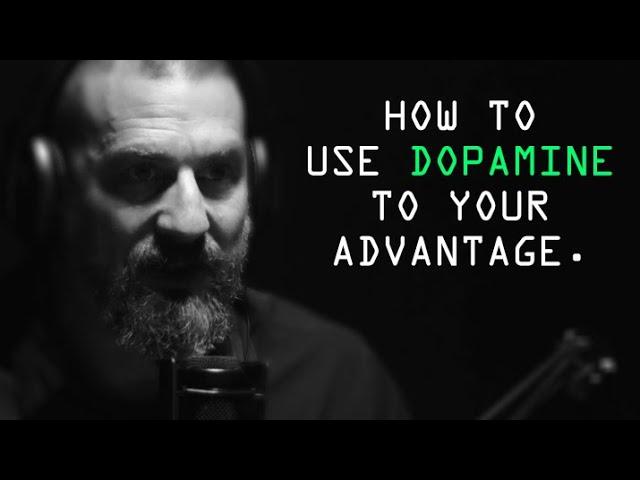 Role And Function Of Dopamine - Jocko Willink & Andrew Huberman