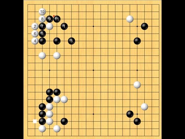 기원3급, 타이젬 7단 "판 전체를 넓게 보는 법"