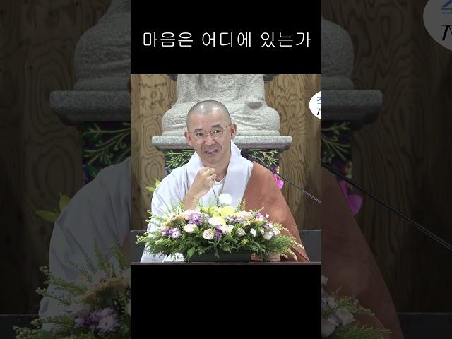 마음은 어디에 있는가 #안심 #자비도량참법 #원빈스님 #명언 #인생조언 #법문 #행복  #격언  #지혜