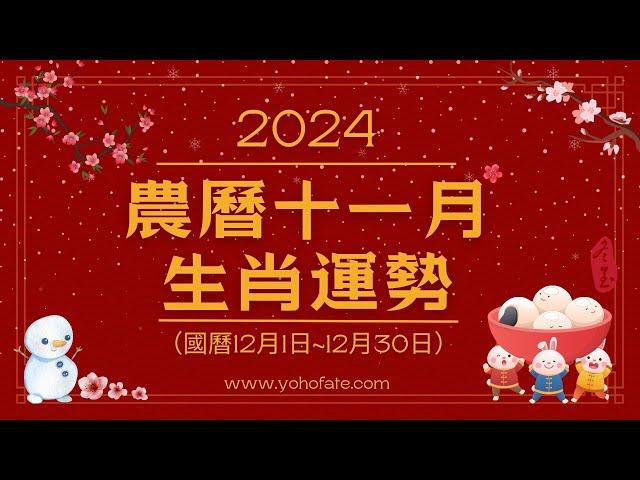 2024甲辰龍年｜農曆十一月（12/1-12/30）｜生肖運勢月報｜雨揚樂活家族