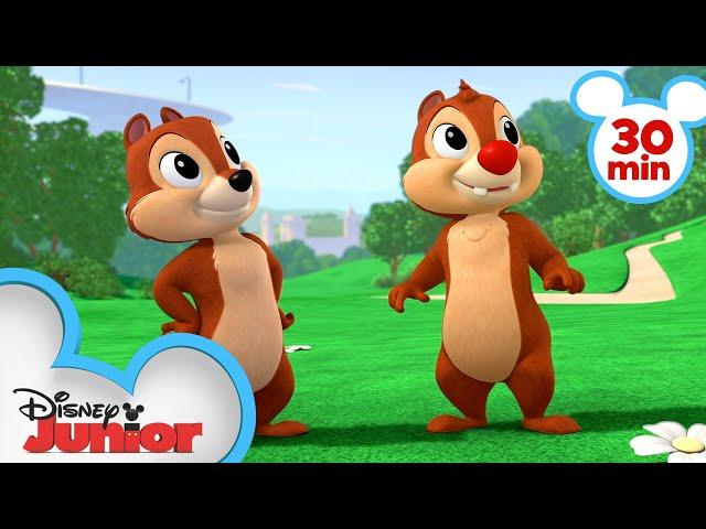 Chip 'N Dale's Nutty Tales 30 Minute Compilation | Mickey Mouse, Minnie Mouse & MORE | @disneyjunior