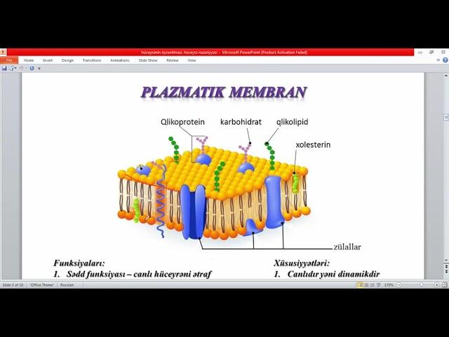 sitologiya 1