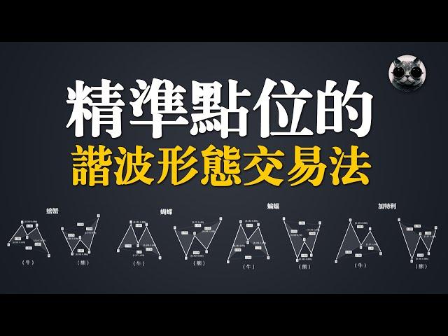 尋找股市的秘密規律，抓住精準點位的諧波形態交易法，黃金分割的極致運用，蝙蝠形態，蝴蝶形態，螃蟹形態，加特利形態解析 | 老貓與指標