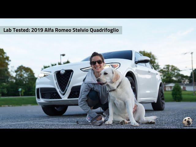 2019 Alfa Romeo Stelvio Quadrifoglio: Andie the Lab Review!