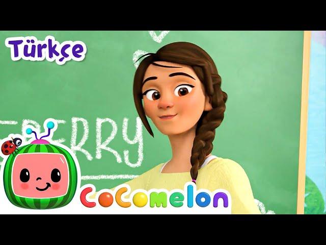 Öğretmen Şarkısı | CoComelon Turkish | Bebekler için Şarkılar | Çocuk Çizgi Filmleri