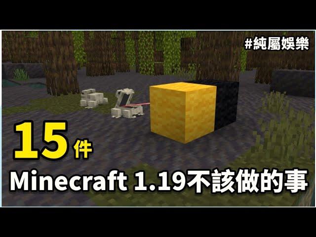 純屬娛樂 | 15件Minecraft更新到1.19之後你不該做的事…