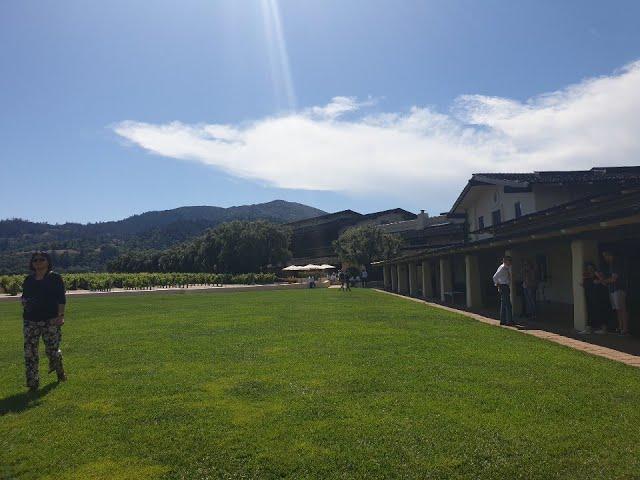 Robert mondavi winary tour/napavelly/San Francisco/trip/로버트 몬다비 와이너리 투어