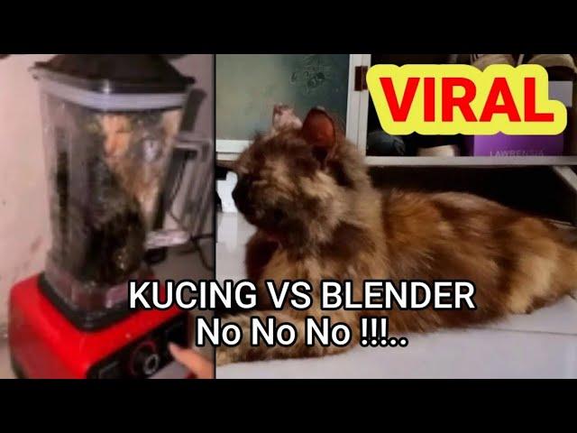 cat in blender || cat in blender viral || cat videos on blnder || GEMOY AND THEIR CHILDREN#cat