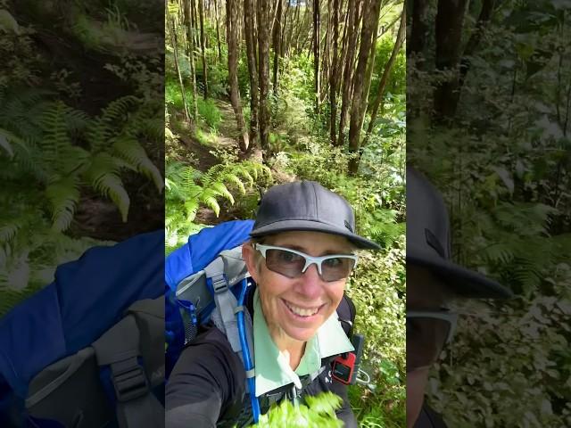 Day 34 Hiking 3000km on Te Araroa #teararoa #mercer #whangamarino #rangiriri #thruhike #backpackers