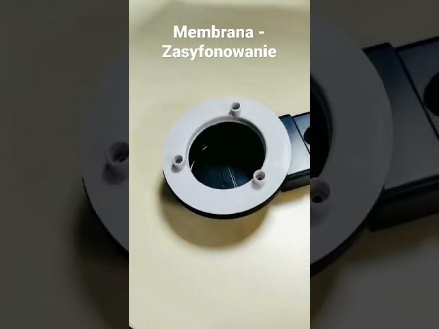 Wymiana Membrany Wirquin na zasyfonowanie