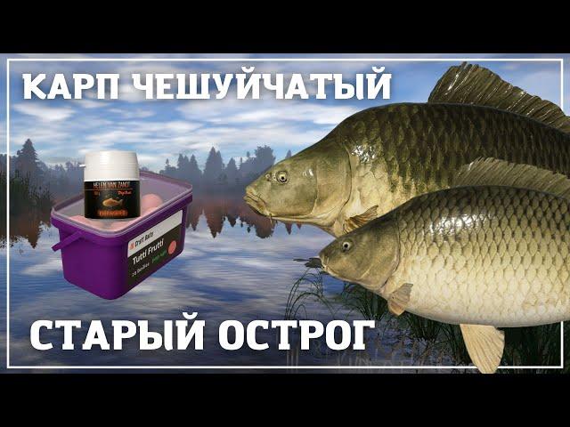 Точка для закрытия карпа на Старом Остроге - РР4┃maXS1k