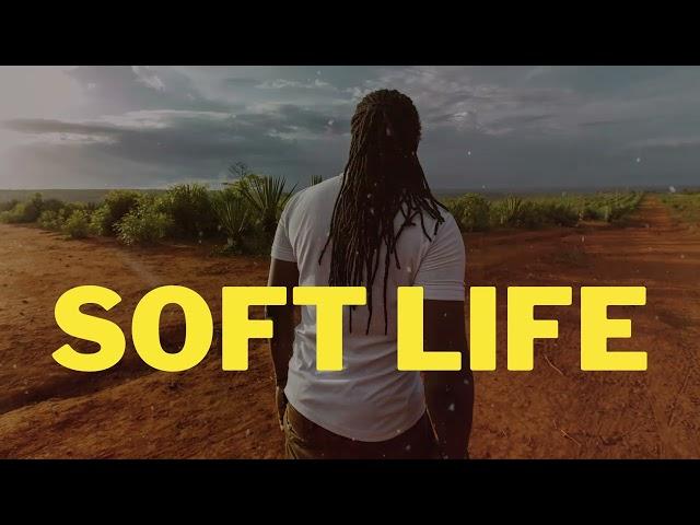 (FREE) Afrobeat instrumental 2024 - SOFT LIFE