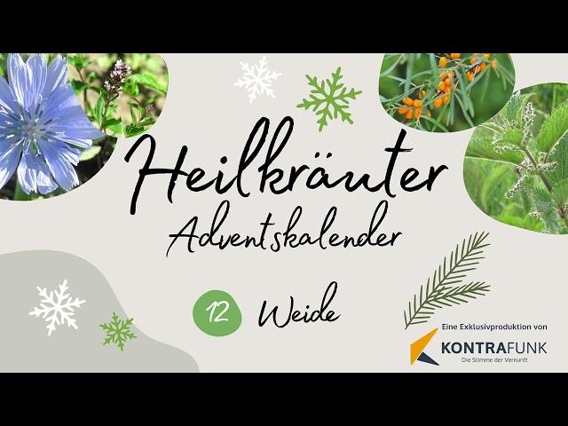 12. Dezember - Die Weide