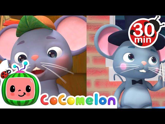 The Country Mouse and the City Mouse | Cocomelon | Learning Videos For Kids