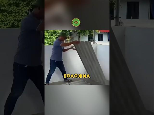 Мужчина использовал асбестовую плитку, чтобы своими руками изготовить креативный цветочный горшок