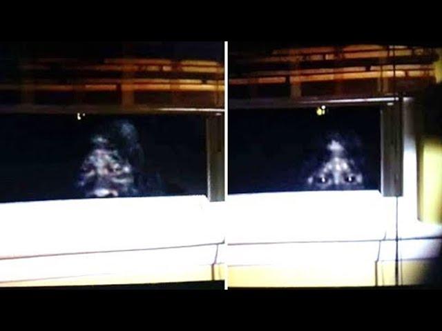 This Man Was Able To Capture The Clearest Images Of Bigfoot Ever Taken