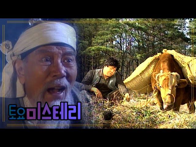 [토요 미스테리극장] 봉팔이의 황소 | EP.40