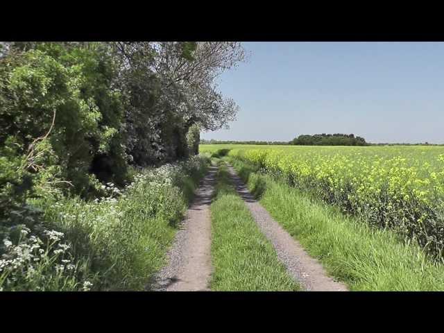 Time Out Country Walks, Book 1, Walk 26, Great Shelford to Cambridge. 26/5/12.