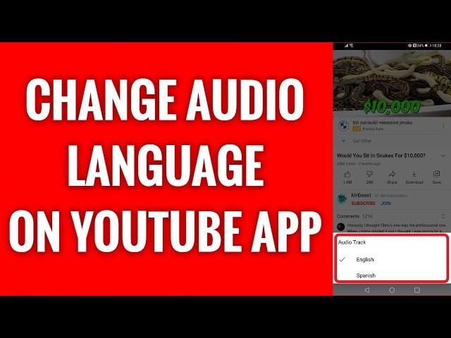 How To Change Audio Language On YouTube App