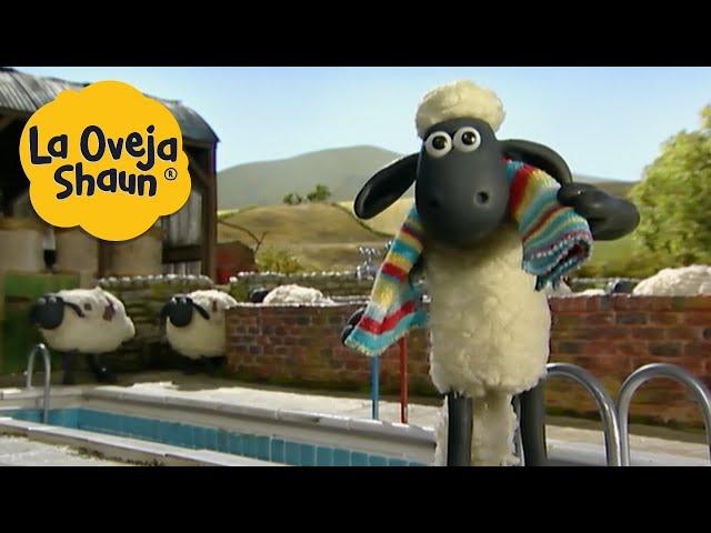 La Oveja Shaun  Fiesta de piscina  Dibujos animados para niños