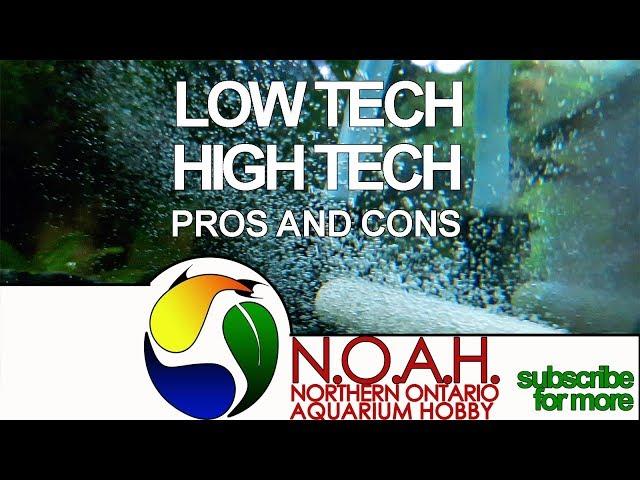 The Difference Between Low-tech vs High-tech Planted Aquarium Tanks