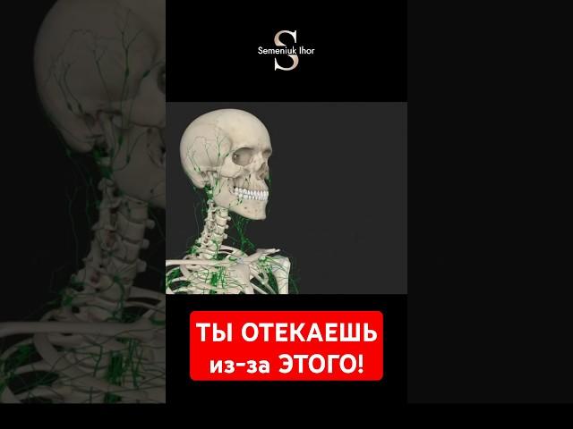 Почему без лимфодренажа не обойтись | Warum Lymphdrainage unverzichtbar ist!