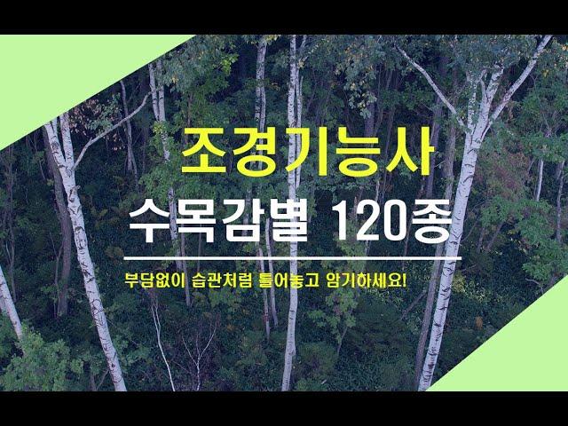 수목감별 120종