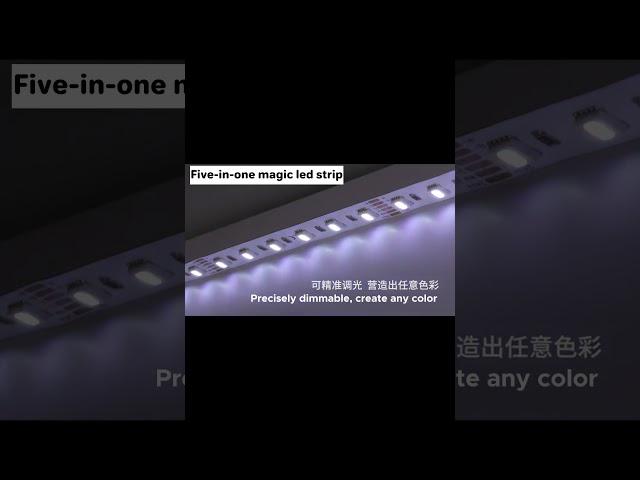 Five-in-one magic led strip #foryou  #interiordesign #homelight #led #rgblighting  #light