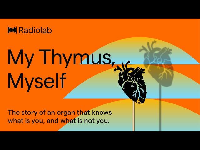 My Thymus, Myself | Radiolab Podcast
