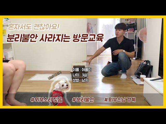[SOON] 강아지가 분리불안으로 하울링, 짖는다면?
