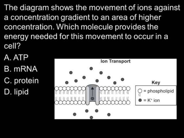 SAT Question of the Day 1-10-13