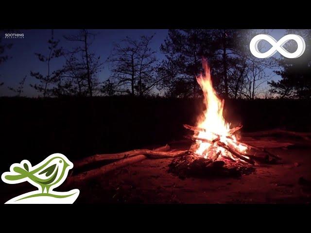 Relaxing Music & Campfire • Relaxing Guitar Music, Soothing Music, Calm Music