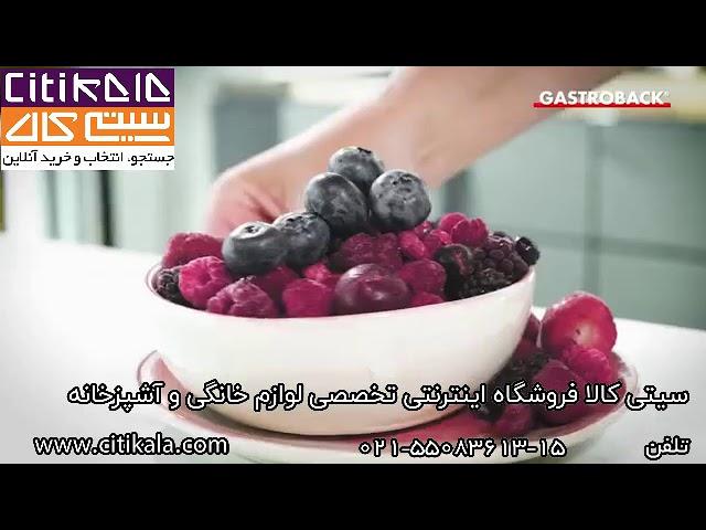 مخلوط کن ویتال حرفه ای گاستروبک 40986 - citikala