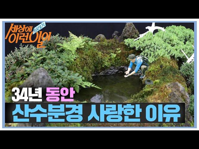 34년 동안 225개 산수분경과 사랑에 빠지게 된 이유 ㅣ순간포착 세상에 이런 일이(Instant Capture)ㅣSBS Story