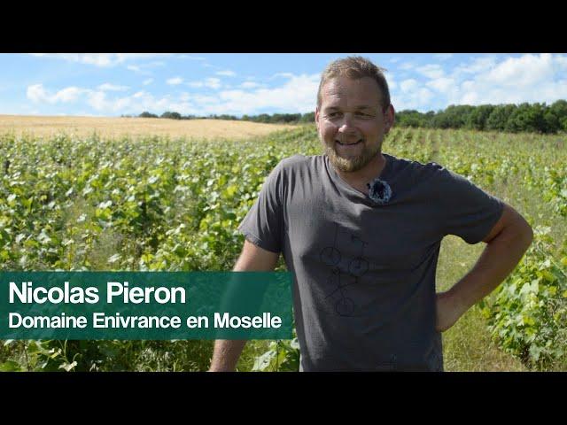 Nicolas Pieron - Vigneron en Moselle au Domaine Enivrance