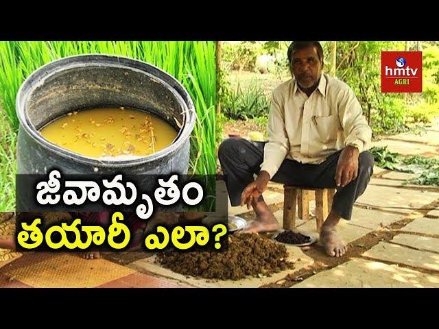 Jeevamrutham Preperation | Natural Farming | hmtv Agri