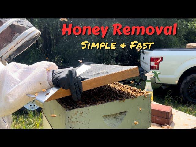 Taking Spring Honey from the Hives - Fast and Easy