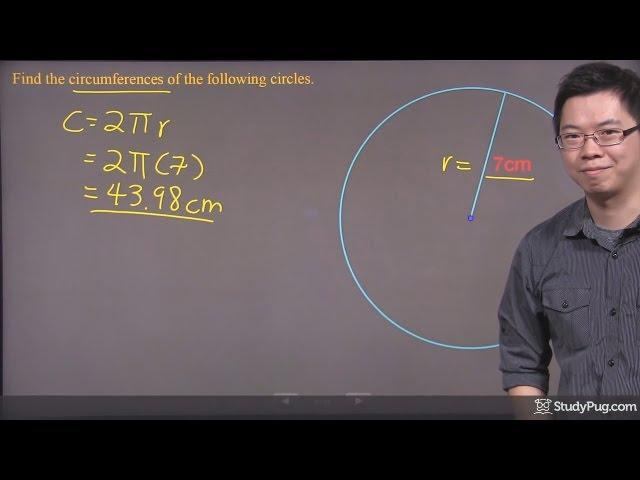 ʕ•ᴥ•ʔ Find circle circumference with radius