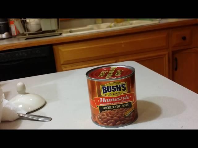 Bush's Best Homestyle Baked Beans Review & Lazy Dinner Idea