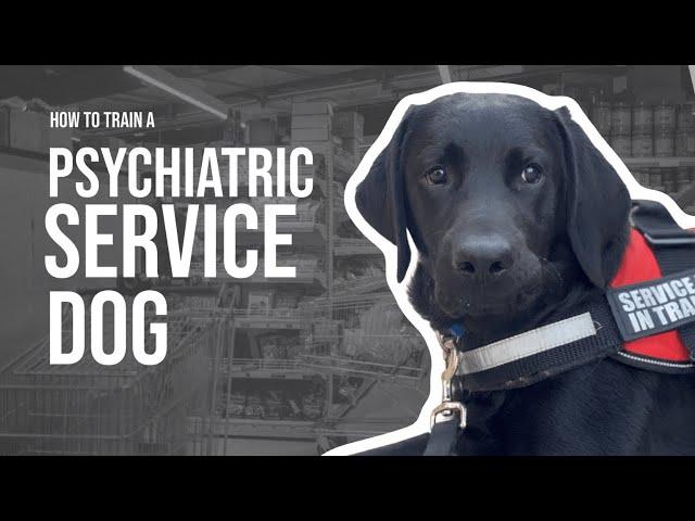 How to Train a Psychiatric Service Dog